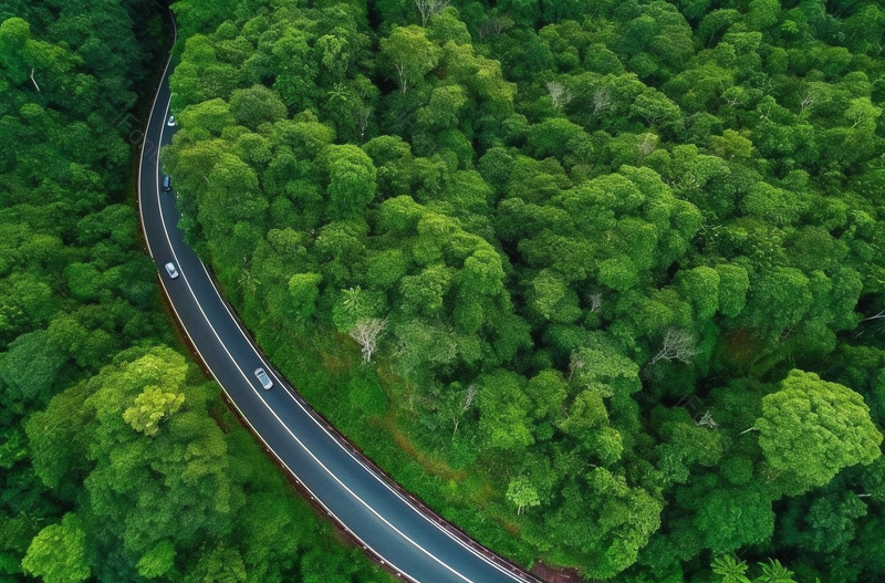 自然风光森林中公路的鸟瞰图摄影真实,高清,摄影图,摄影图片,图片大全,摄影图免费下载
